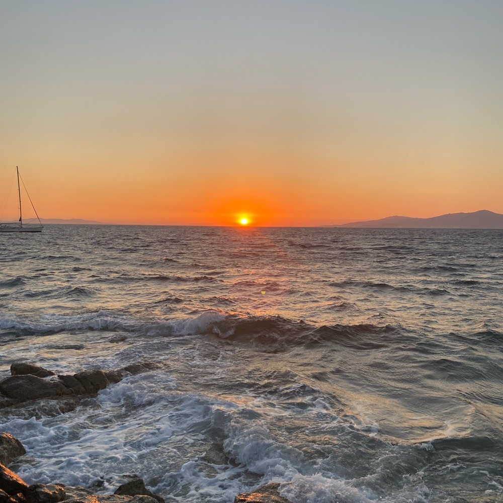 Meet your Posher, Irma